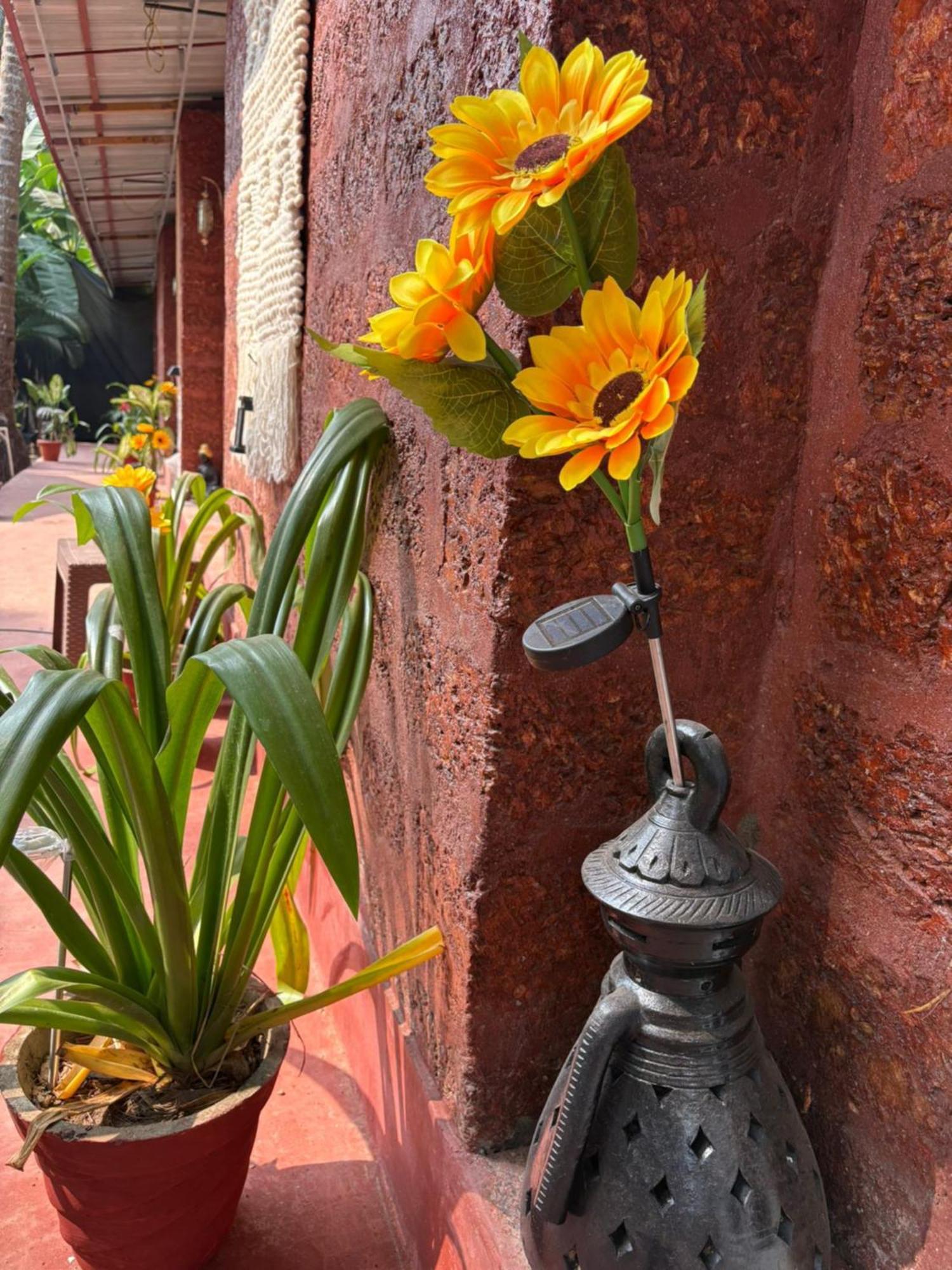 The Charming Nights Hotell Palolem Eksteriør bilde